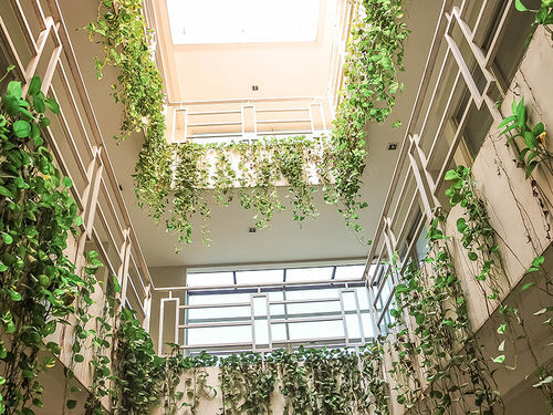 Legreen Suite Pejompongan Jakarta Exteriér fotografie